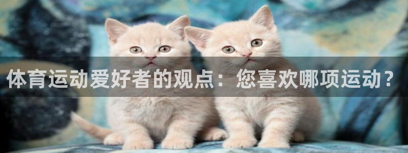 3377体育app登录入口：体育运动爱好者的观点：您喜欢哪项运动？