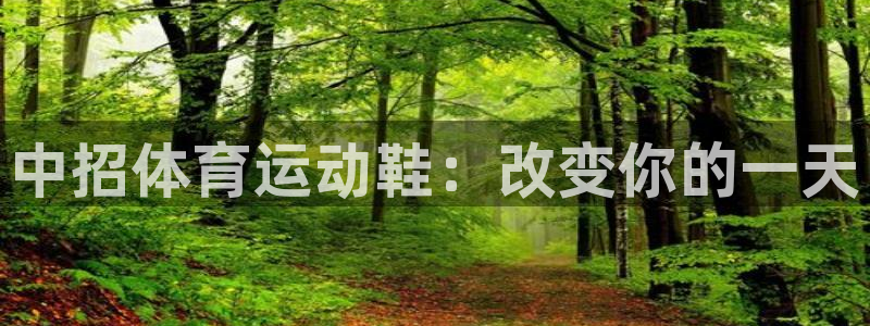 3377体育平台：中招体育运动鞋：改变你的一天