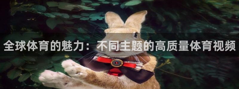 3377体育官网入口下载最新：全球体育的魅力：不同主题的高质量体育视频