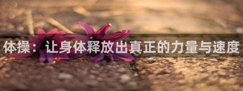 3377体育官网下载：体操：让身体释放出真正的力量与速度