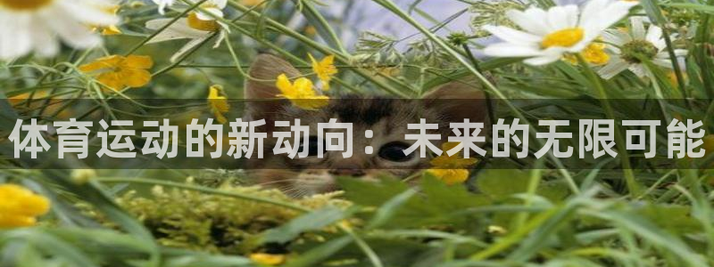 3377体育网页登录入口：体育运动的新动向：未来的无限可能