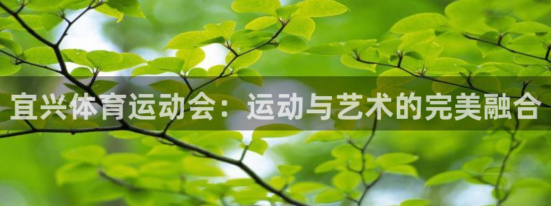3377体育全网：宜兴体育运动会：运动与艺术的完美融合