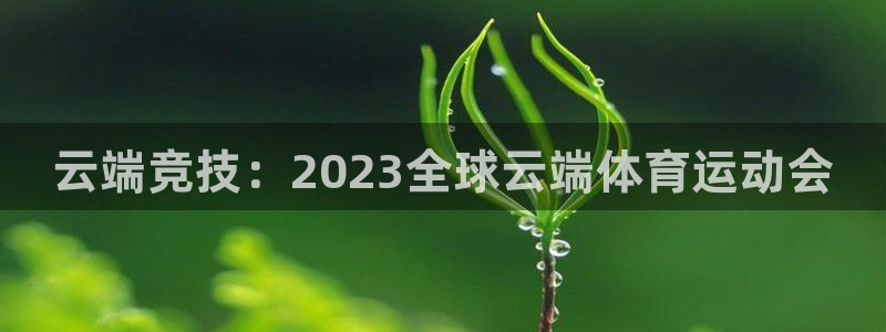 3377体育平台：云端竞技：2023全球云端体育运动会