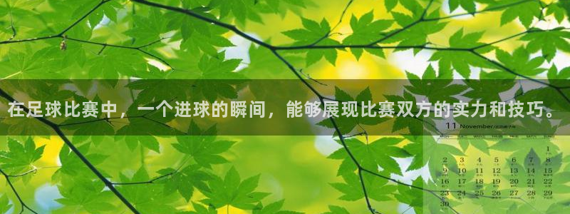 3377体育com：在足球比赛中，一个进球的瞬间，能够展现比赛双方的实力和技巧。