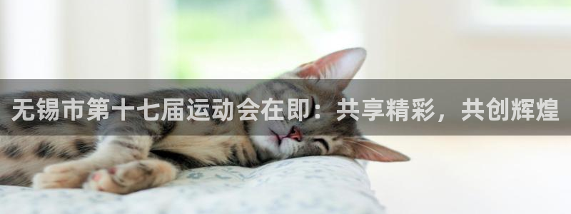 3377体育app登录入口：无锡市第十七届运动会在即：共享精彩，共创辉煌