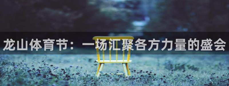 3377体育全网