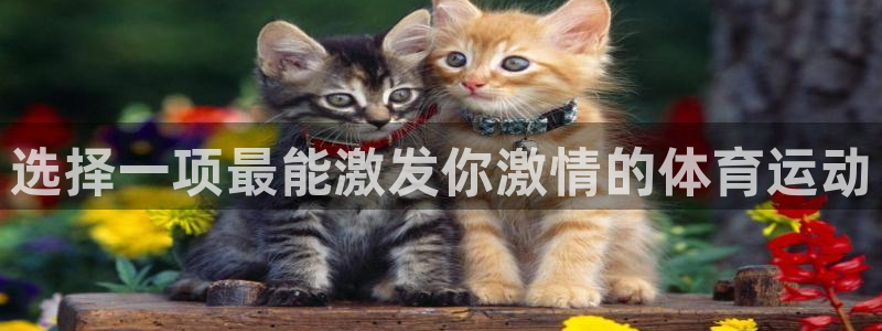 3377体育中国官方网站入口：选择一项最能激发你激情的体育运动